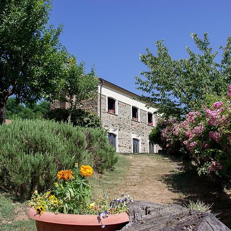 La Rosa Nel Bicchiere Guest House Soveria Mannelli Exterior photo
